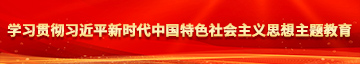 啊嗯嗯插我啊视频学习贯彻习近平新时代中国特色社会主义思想主题教育